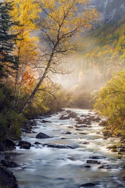 Sueños de otoño