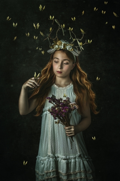 Entre Mariposas