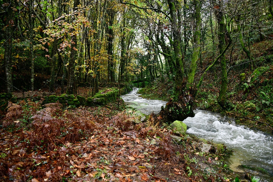 OTOÑO EN GALICIA