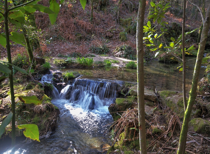 AGUA
