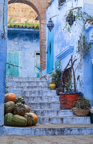 Bodegón Natural, Marruecos