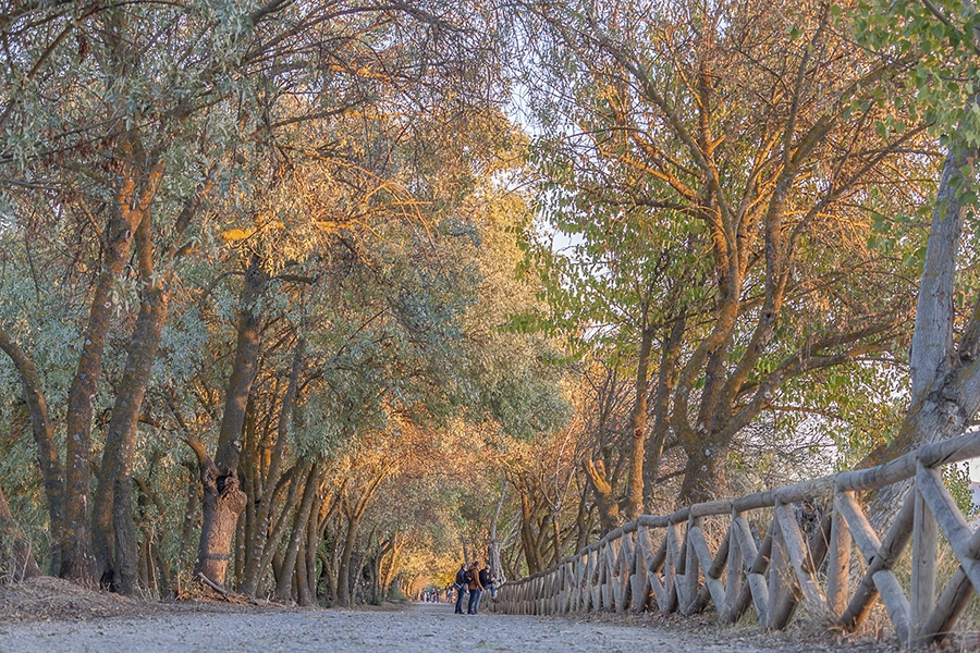 Colores de Otoño