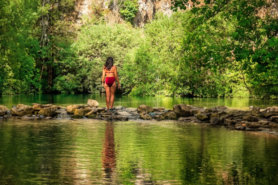 La dama del lago