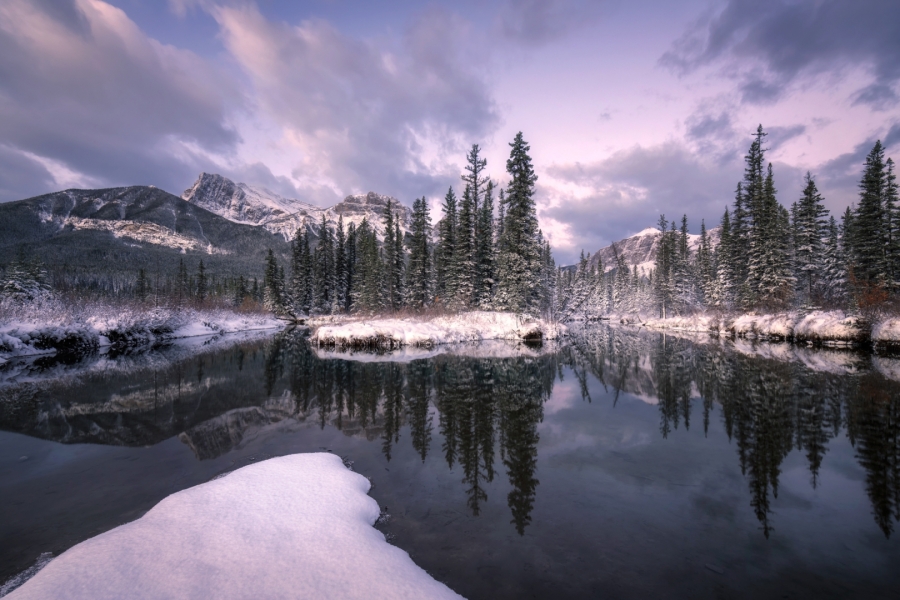 Alberta IV