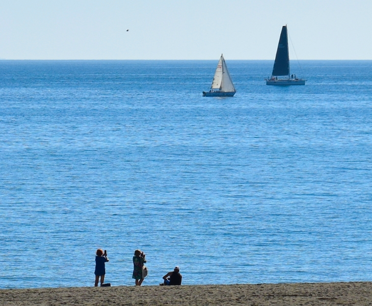 Beachshore snapshot