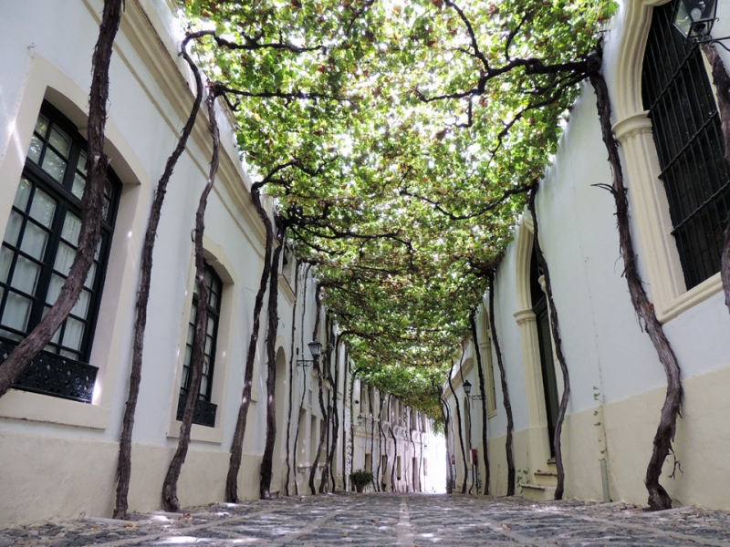calle las parras