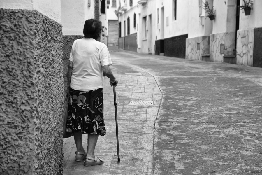 De vuelta a casa