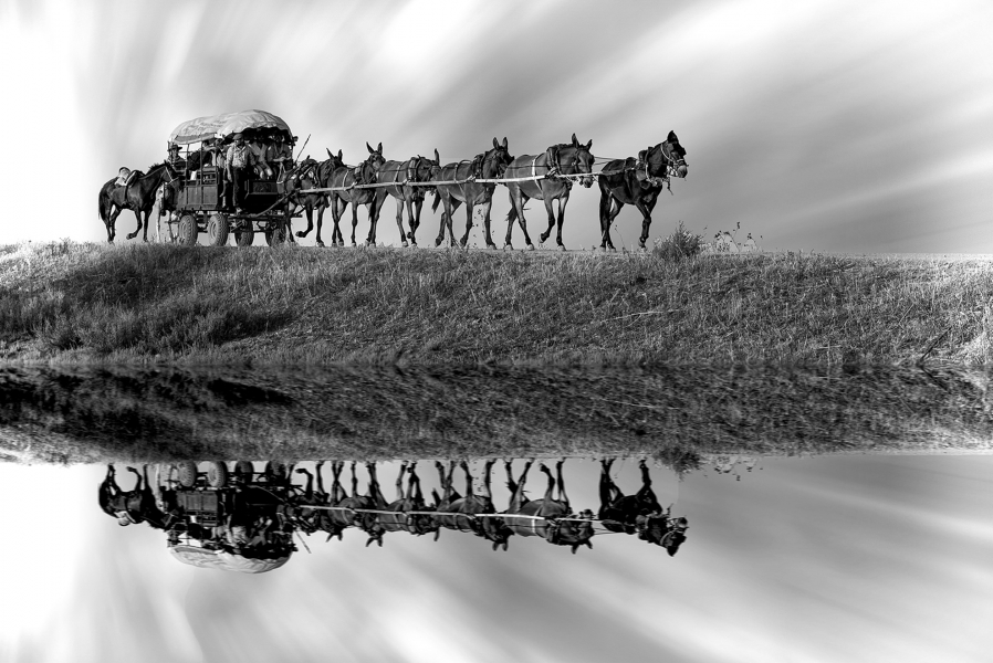 Doñana