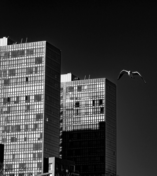 Entre edificios