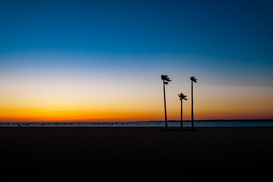 OCASO