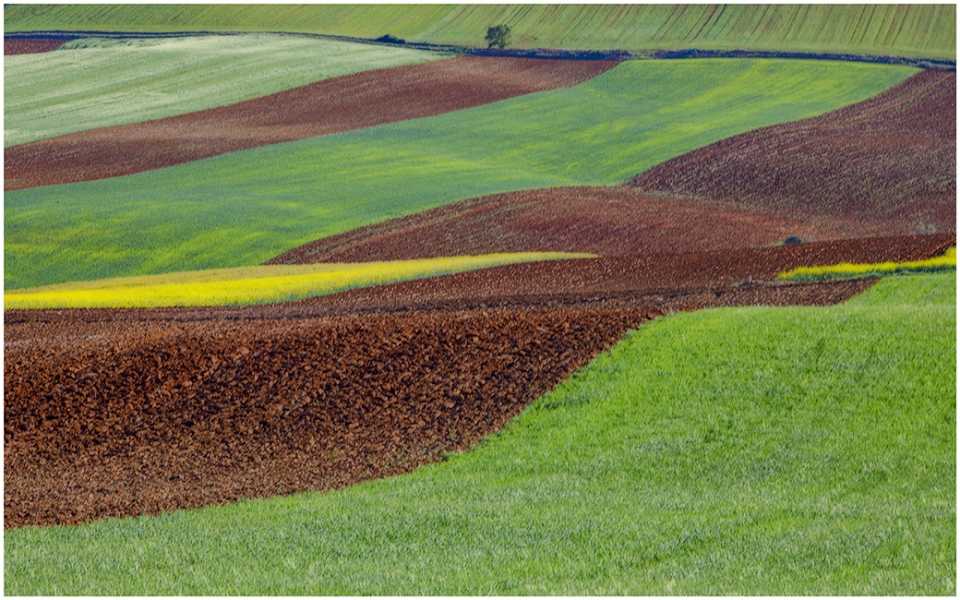 Campos de Castilla