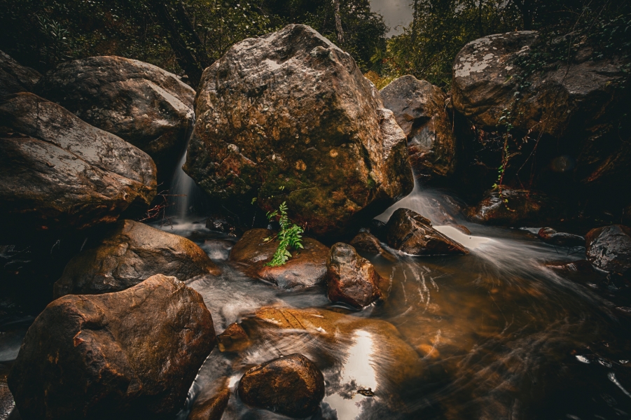 El agua de la vida