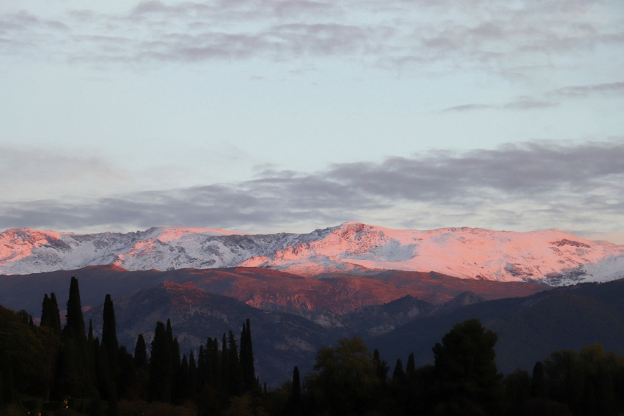 SIERRA NEVADA