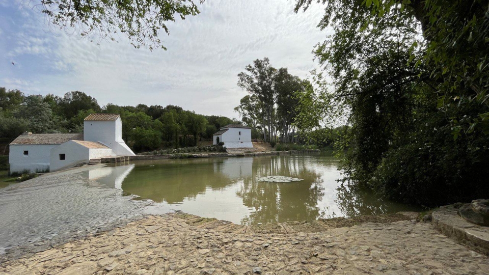 Molino de Benarosa
