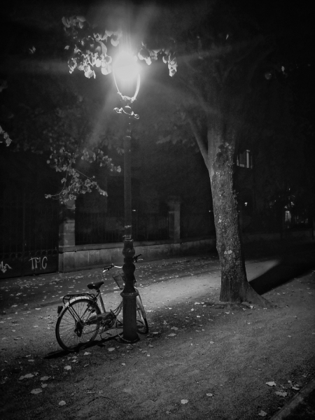 Reposo en la noche
