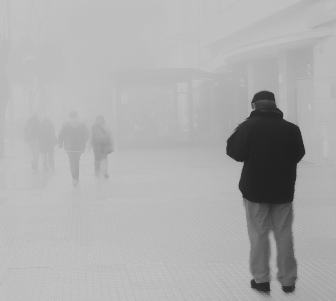 PASEO ENTRE LA NIEBLA