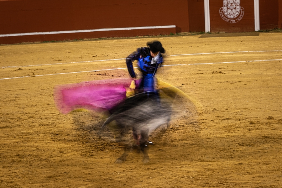 Otra forma de ver los toros
