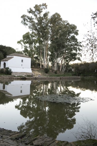 La Benarosa