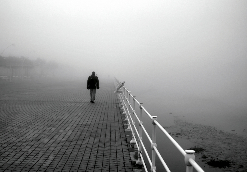 Entre la niebla