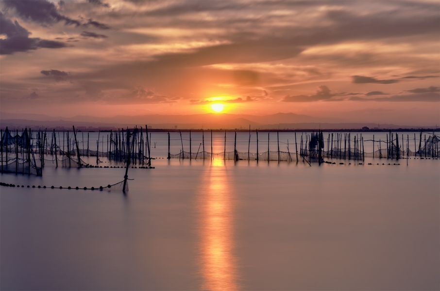 La Albufera
