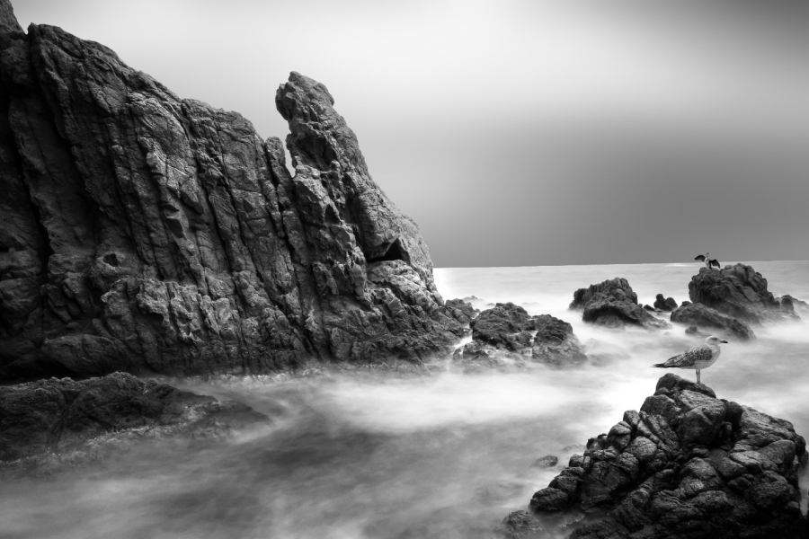 La atracción de la mar