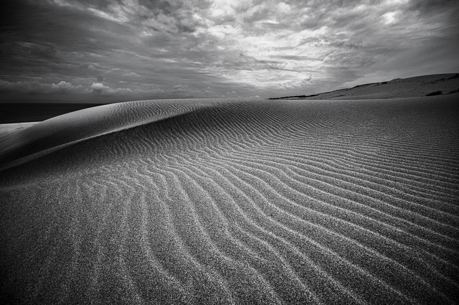 Los senderos del viento.