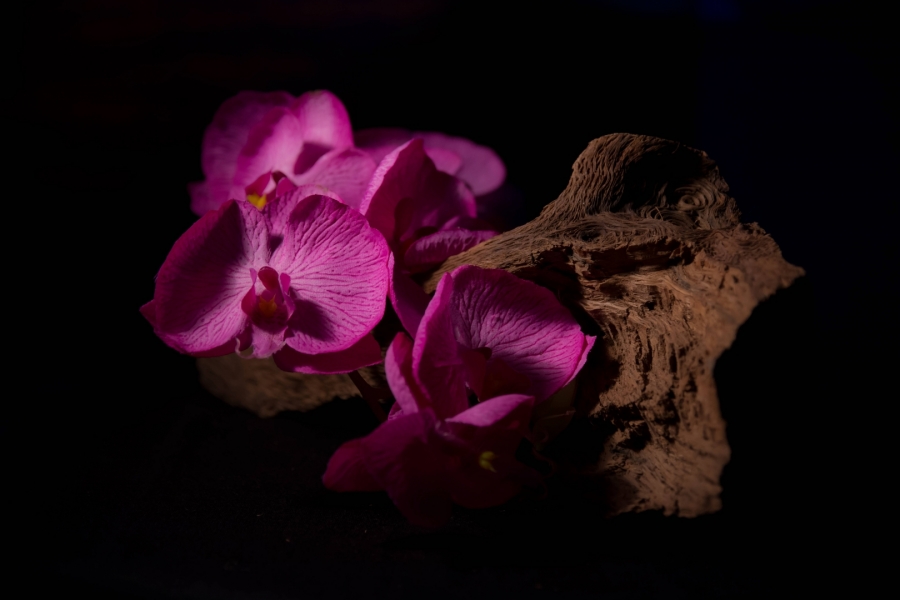 Madera y Flor