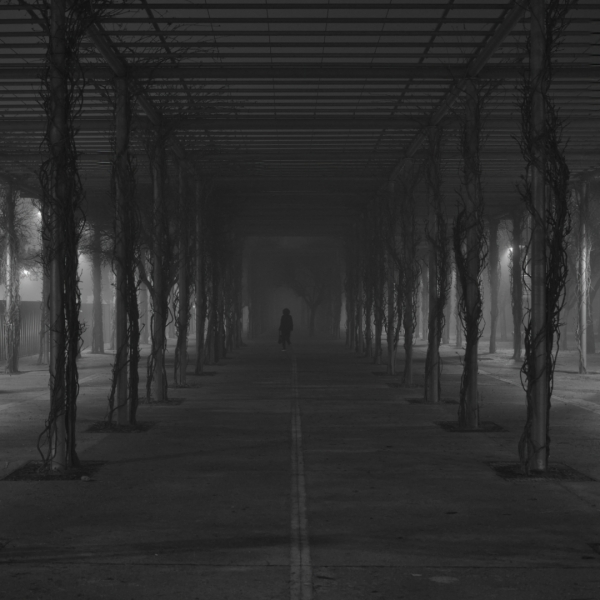 Entre columnas y tinieblas