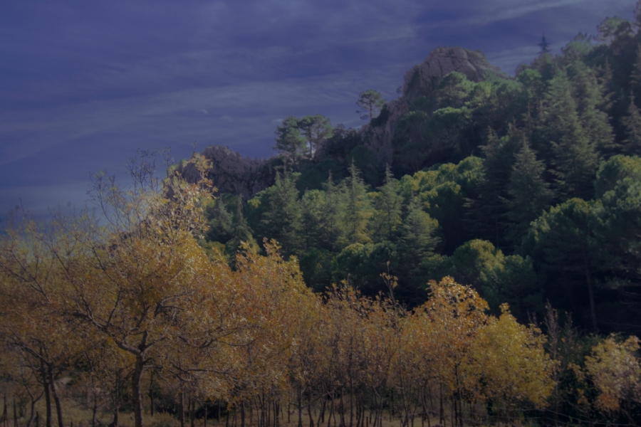 Nacimiento del Guadalete