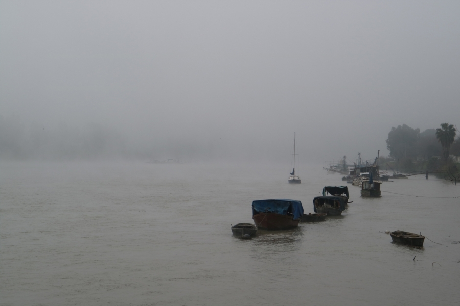 Niebla en el rio