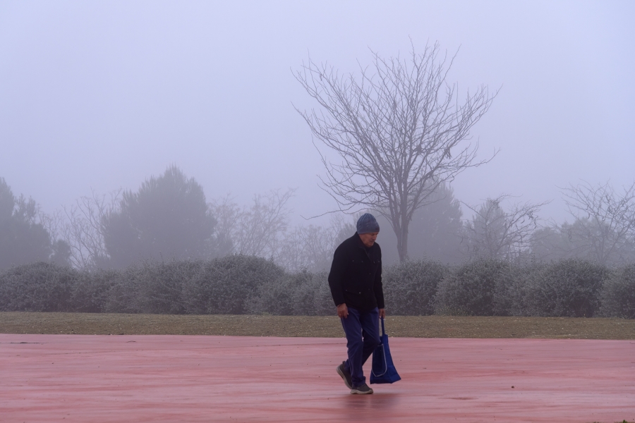Paseo en la niebla