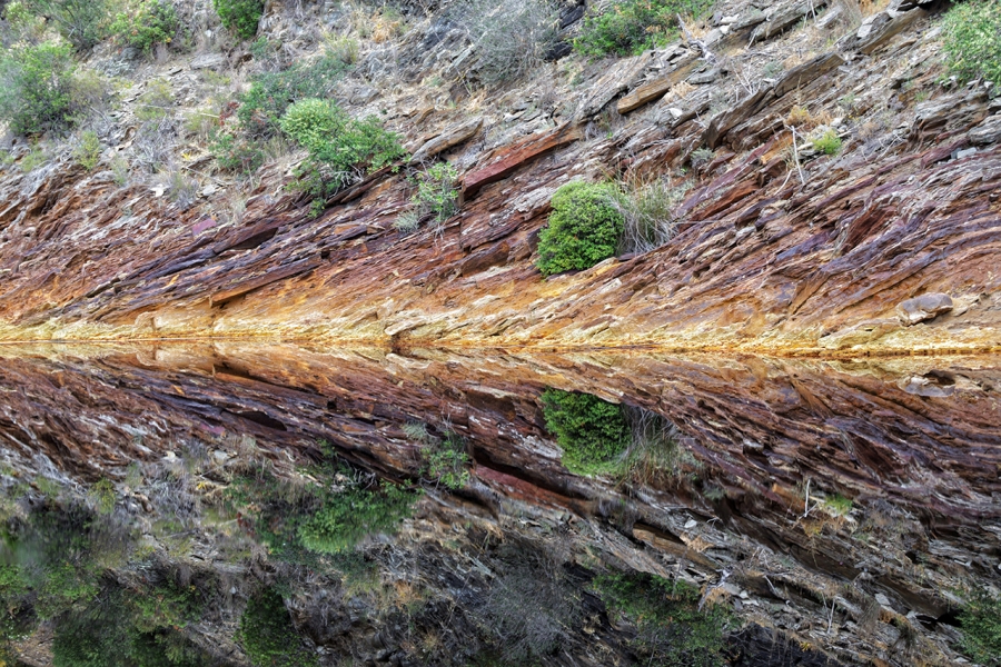 Georeflejos