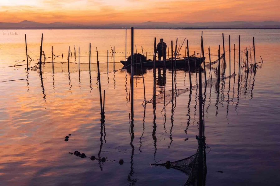 Terminando la faena en La Albufera