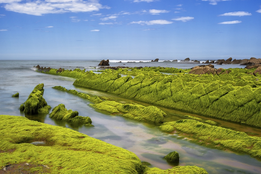 Verde y Azul