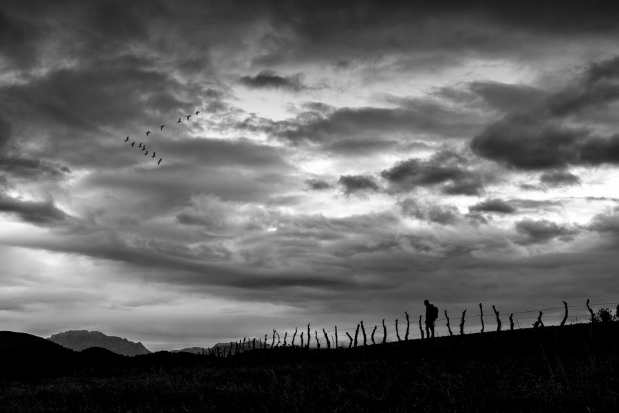 Vuelo al Amanecer